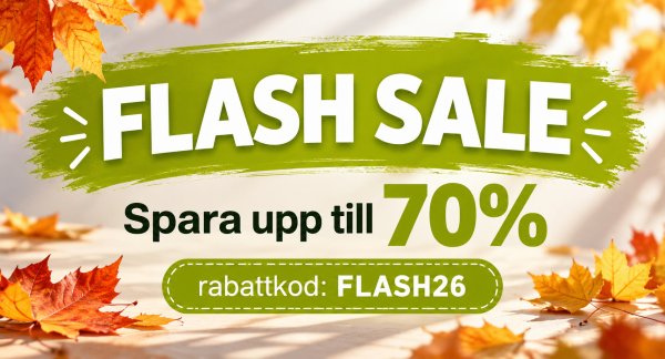 Flash sale! - 2026-10-25